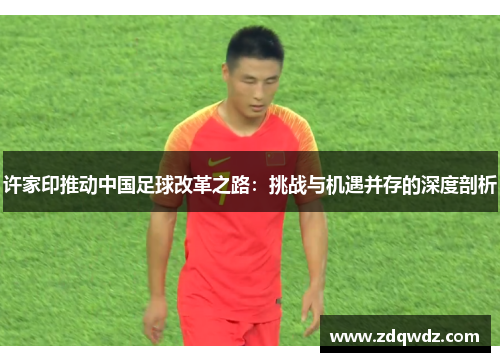 许家印推动中国足球改革之路：挑战与机遇并存的深度剖析