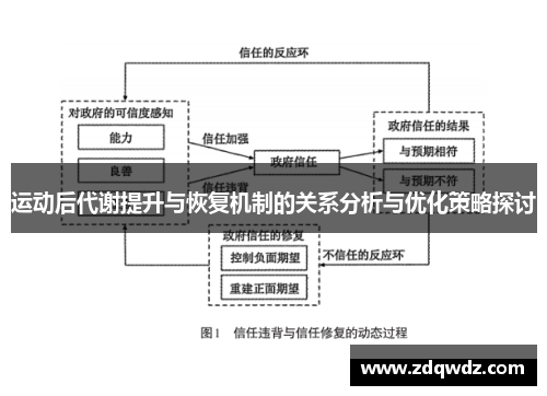 运动后代谢提升与恢复机制的关系分析与优化策略探讨