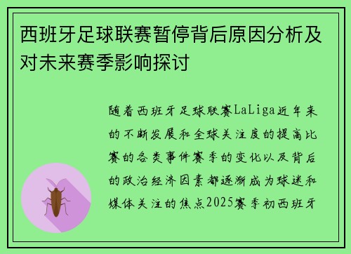 西班牙足球联赛暂停背后原因分析及对未来赛季影响探讨