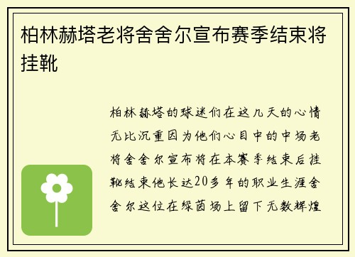 柏林赫塔老将舍舍尔宣布赛季结束将挂靴